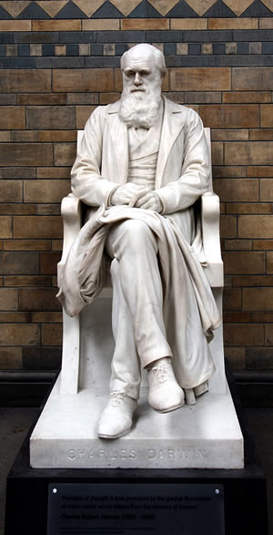 Charles Darwin statue in the UK Natural History Museum 