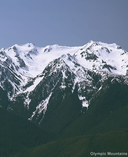 View of Olympic Mountains from Hurricane Ridge